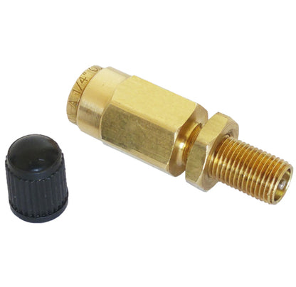 Air Inflation Schrader Valve for 1/4" OD Air Line Tubing